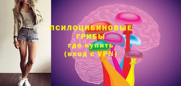 метадон Лагань