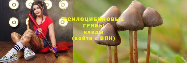 прущий лед Ладушкин