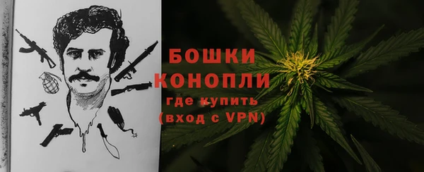 ПСИЛОЦИБИНОВЫЕ ГРИБЫ Лабытнанги