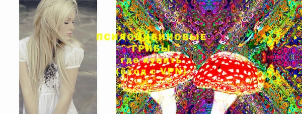 молекула духа Тайга