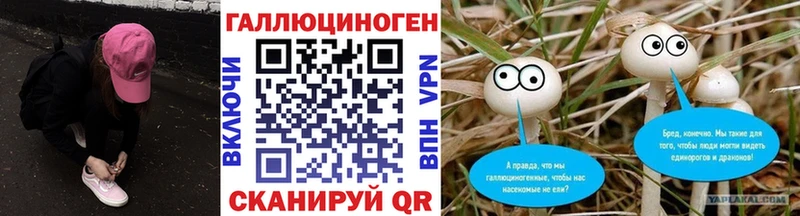 Галлюциногенные грибы MAGIC MUSHROOMS  даркнет формула  Зеленодольск  hydra ONION 