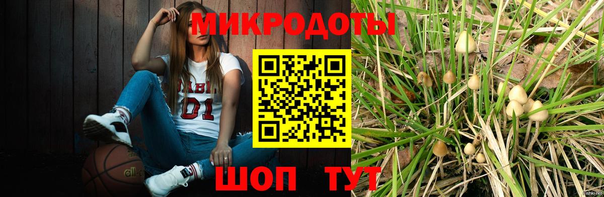 Галлюциногенные грибы Psilocybe  Вход с VPN  Зеленодольск 
