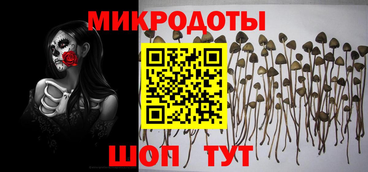 Псилоцибиновые грибы ЛСД Зеленодольск