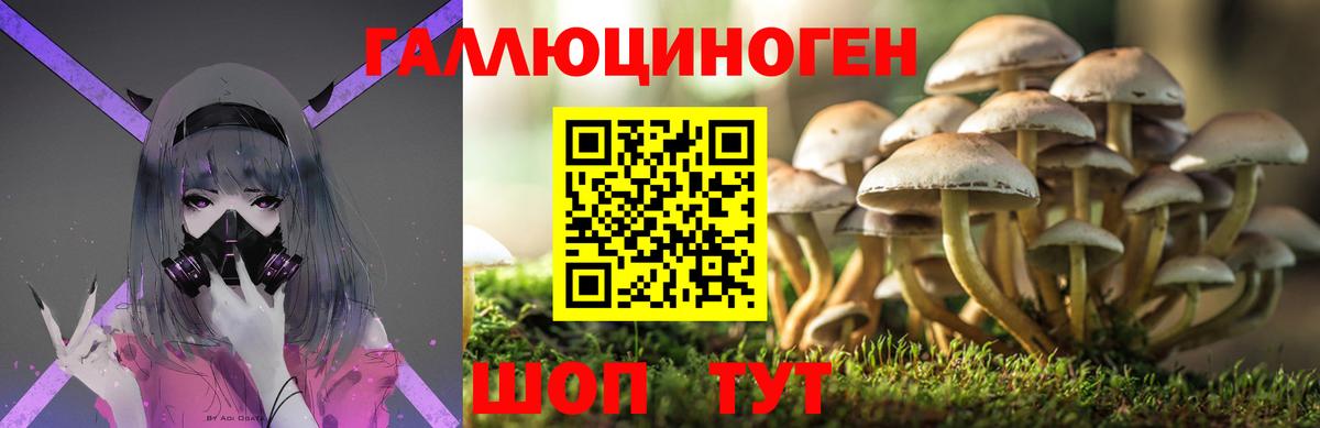 Псилоцибиновые грибы прущие грибы  Галлюциногенные грибы Psilocybine cubensis  купить наркоту  Зеленодольск 
